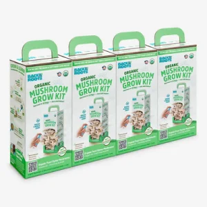 Buy Organic Mushroom Grow Kit Bulk 4 pack