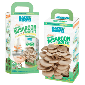 Buy Organic Mushroom Grow Kit