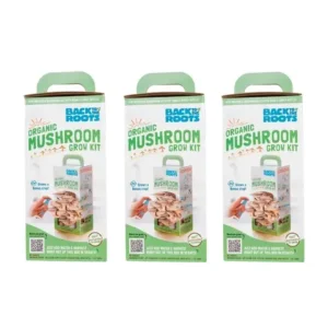 Organic-Mushroom-Grow-Kit-Value-3-Pack