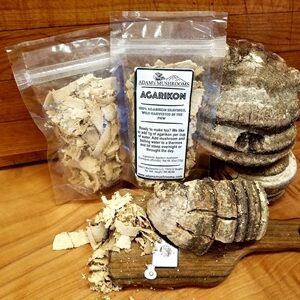 Buy Agarikon mushrooms